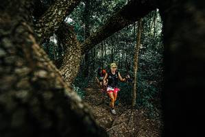 BIB: 
                            <button type="button" onclick="openModal(25666781)" class="btn btn-primary btn-sm float-right btn-popup" data-toggle="modal" data-target=".modal-high-quality">
                        <i class="fas fa-shopping-cart"></i> Add to Cart
                    </button>
                                            <button type="button" onclick="isThisMe(25666781, true)" class="btn btn-success btn-sm float-right btn-popup btn-isme hidden" data-toggle="tooltip" data-placement="bottom" title="นี่คือรูปของคุณใช่ไหม คลิกที่นี่เพื่อเอาเข้าอัลบั้ม">
                        <i class="fas fa-plus"></i> Add to album
                    </button>
                    <button type="button" onclick="isThisMe(25666781, false)" class="btn btn-warning btn-sm float-right btn-popup btn-isnotme hidden">
                        <i class="fas fa-ban"></i> Remove from album
                    </button>